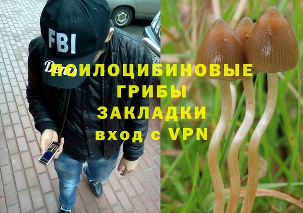 метадон Семёнов