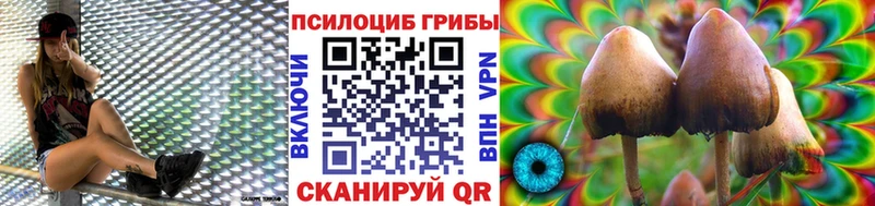 Галлюциногенные грибы прущие грибы  купить   KRAKEN рабочий сайт  Новое Девяткино 